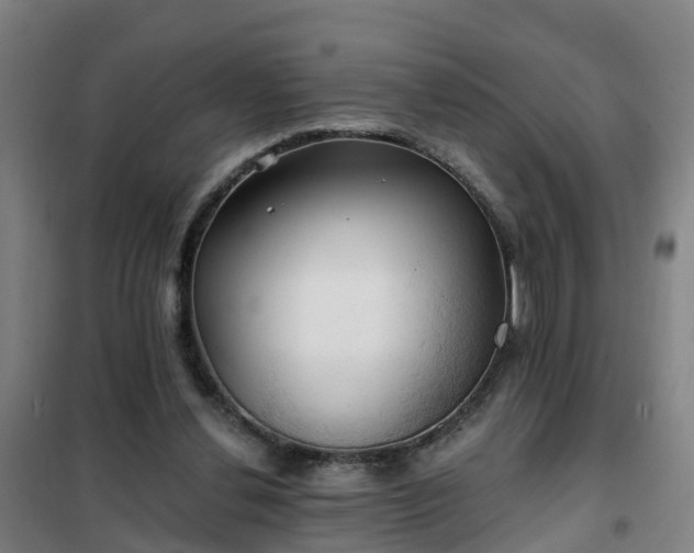 X0000102020252200807251338