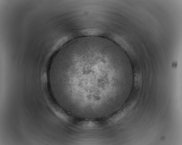 X0000102020254200807251338