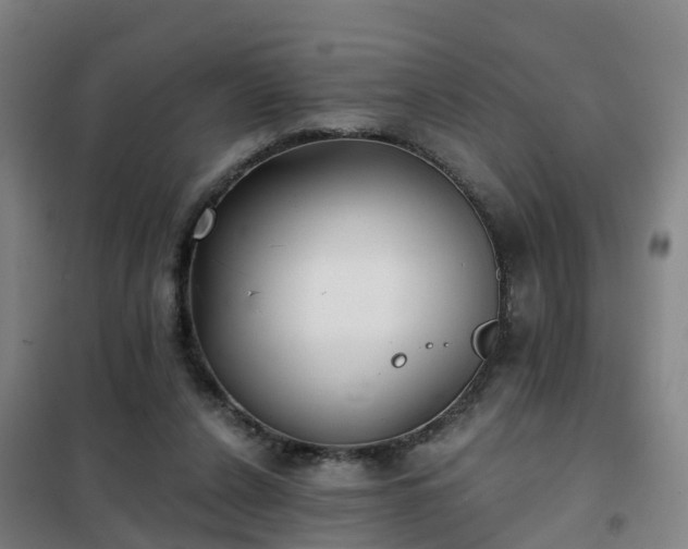 X0000102020256200807251338