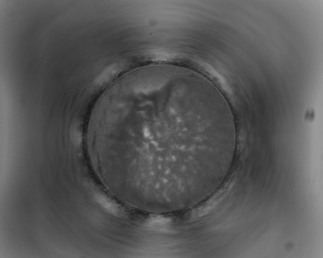 X0000102020257200807251338