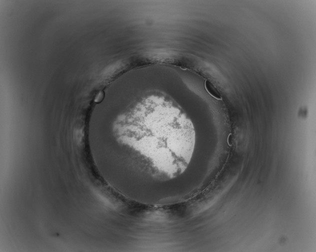 X0000102020259200807251338