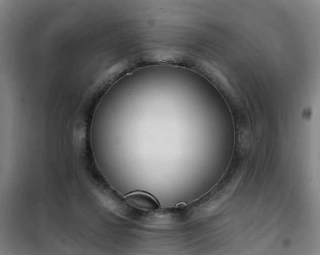 X0000102020260200807251338