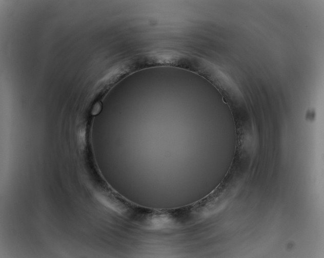 X0000102020262200807251338