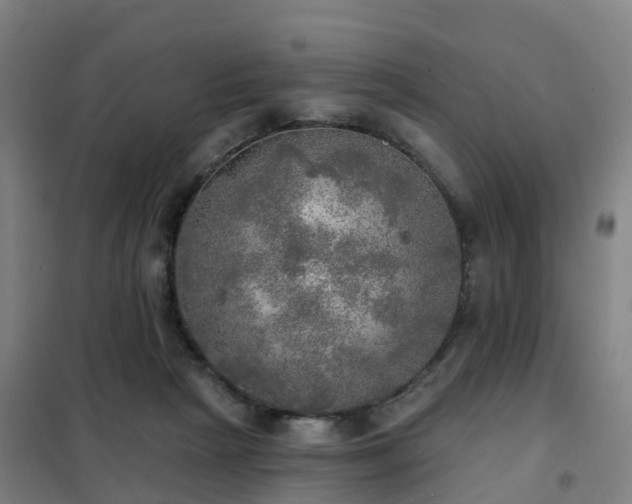X0000102020265200807251338