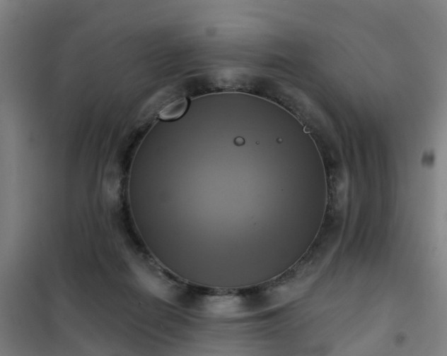 X0000102020266200807251338