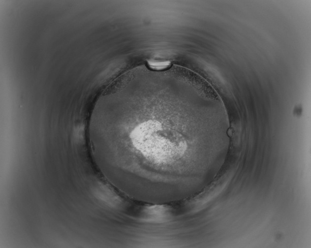 X0000102020269200807251338