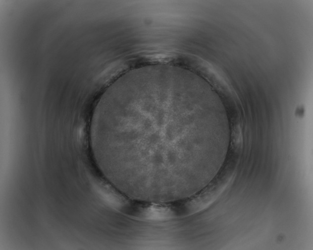 X0000102020270200807251338