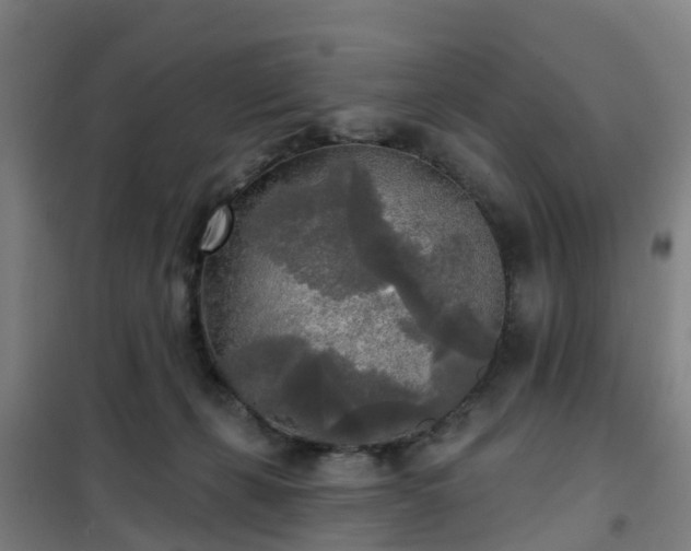X0000102020271200807251338