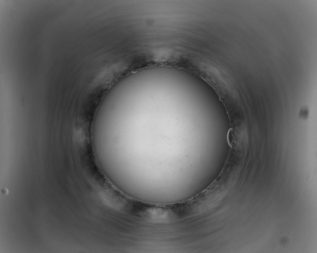 X0000102020272200807251339
