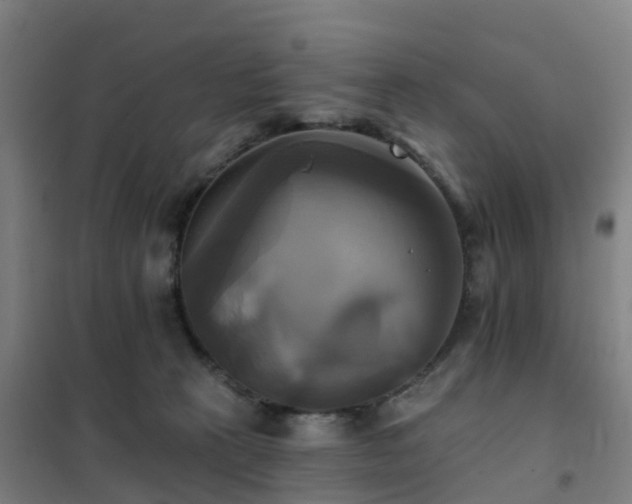 X0000102020273200807251339