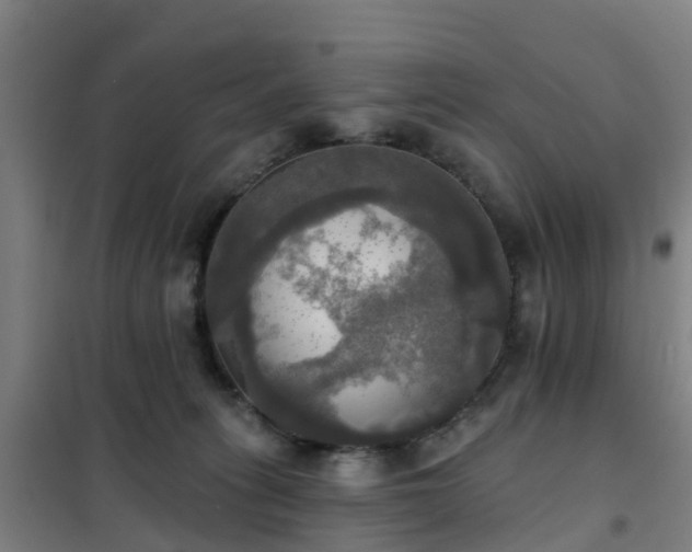 X0000102020275200807251339