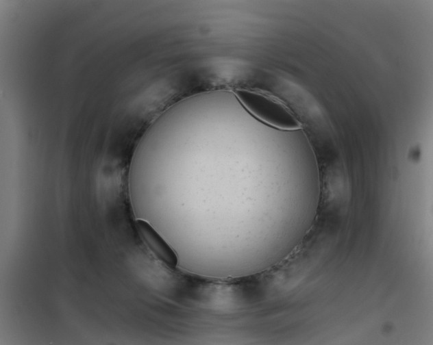 X0000102020276200807251339