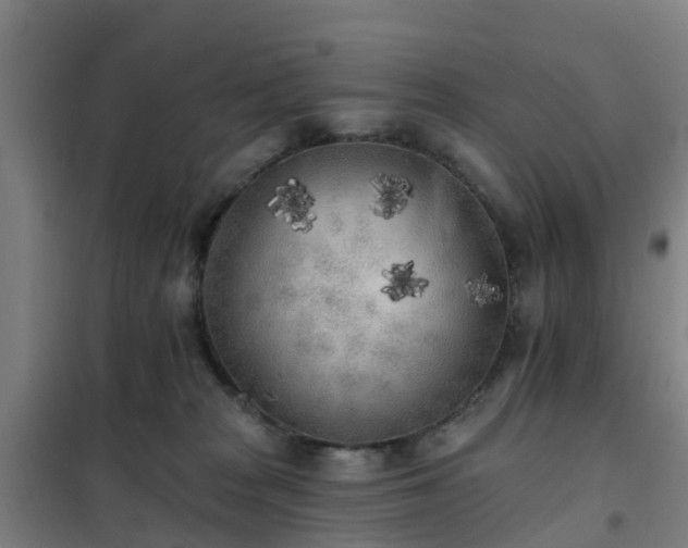 X0000102020277200807251339
