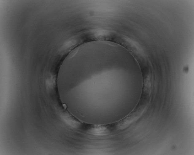 X0000102020278200807251339