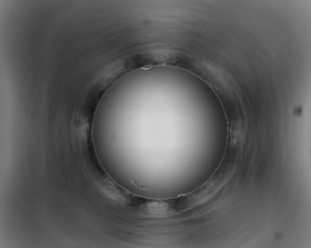 X0000102020279200807251339