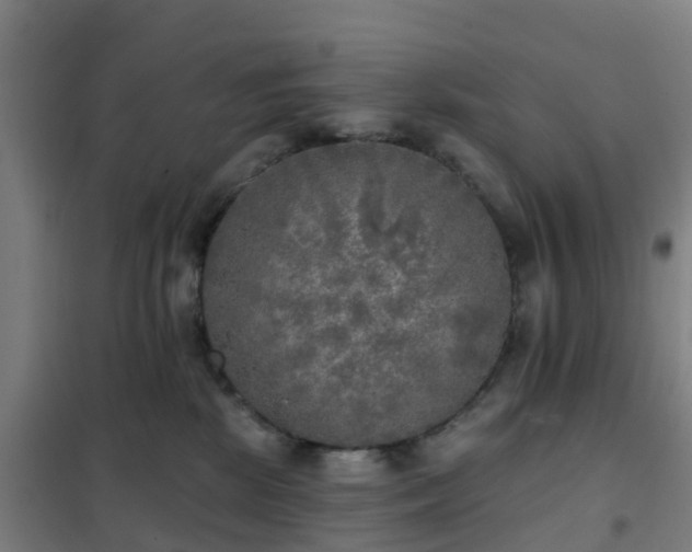 X0000102020281200807251339