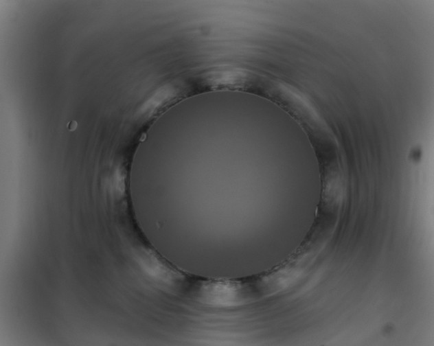 X0000102020282200807251339