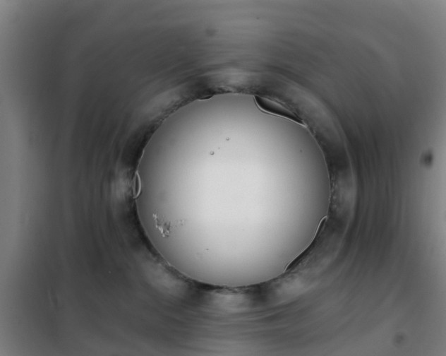 X0000102020284200807251339