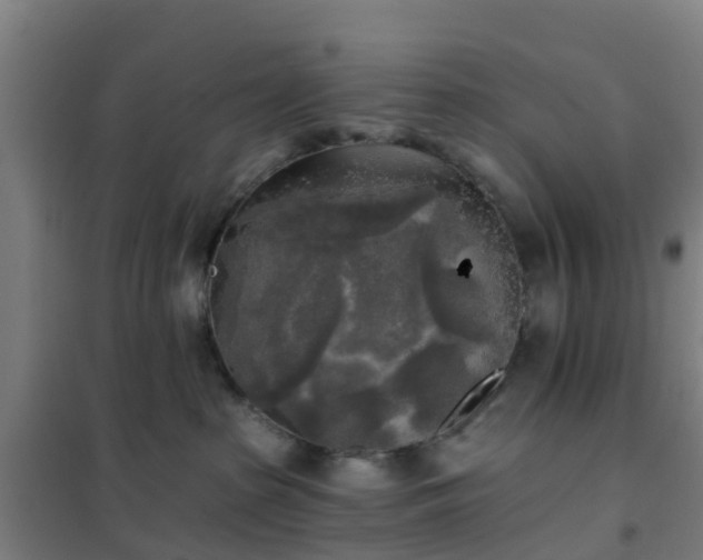 X0000102020285200807251339