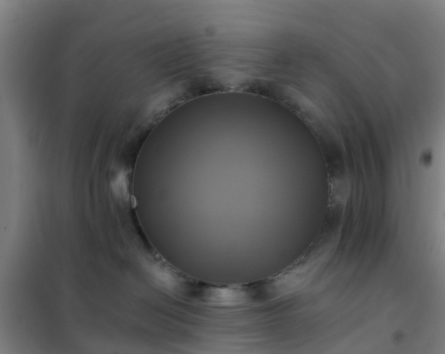 X0000102020286200807251339