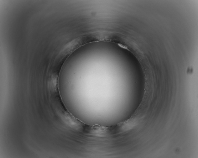 X0000102020288200807251339