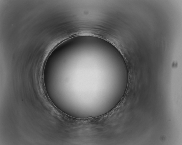 X0000102020289200807251338