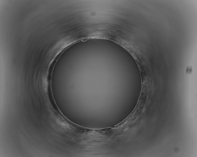 X0000102020290200807251338