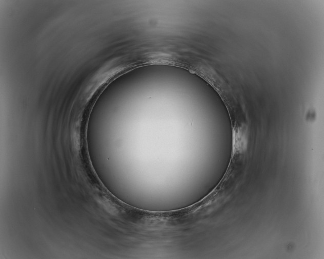 X0000102020291200807251338