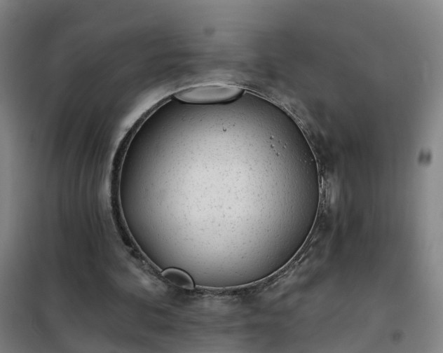 X0000102020292200807251338