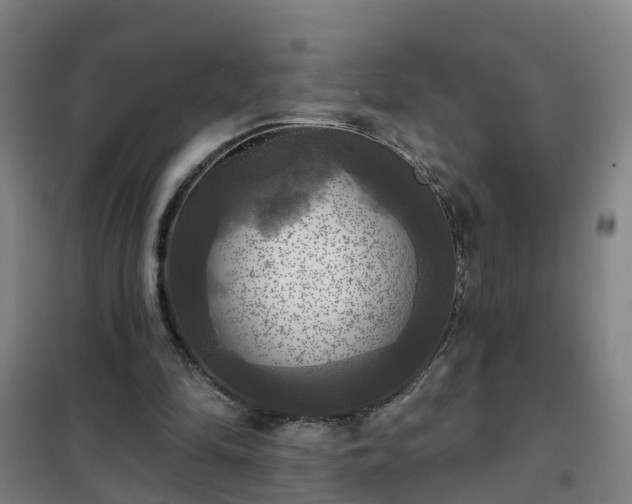 X0000102020294200807251338