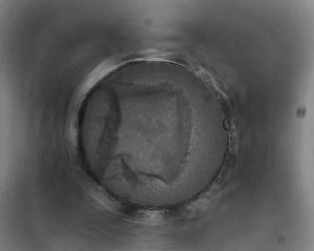 X0000102020295200807251338