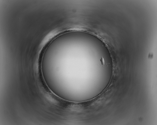 X0000102020296200807251338