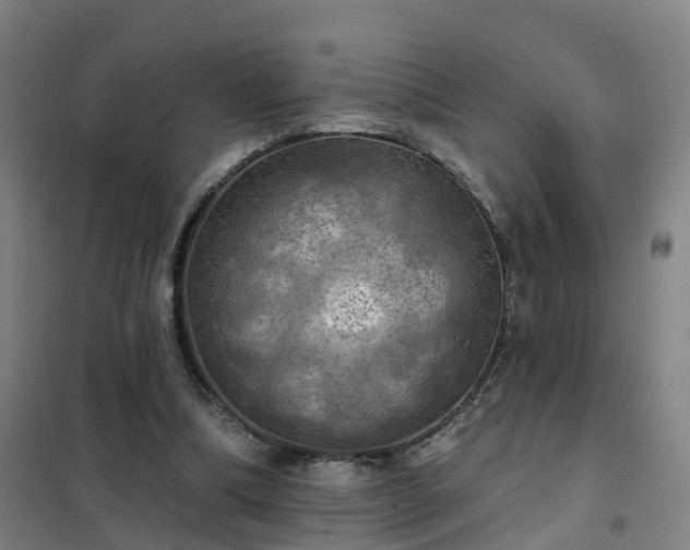 X0000102020298200807251338