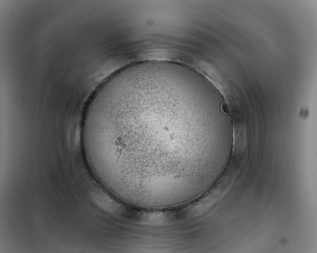 X0000102020301200807251338