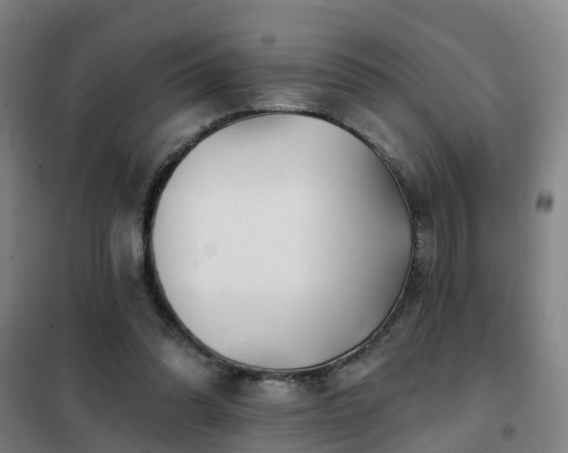 X0000102020302200807251338
