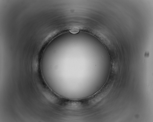 X0000102020304200807251338