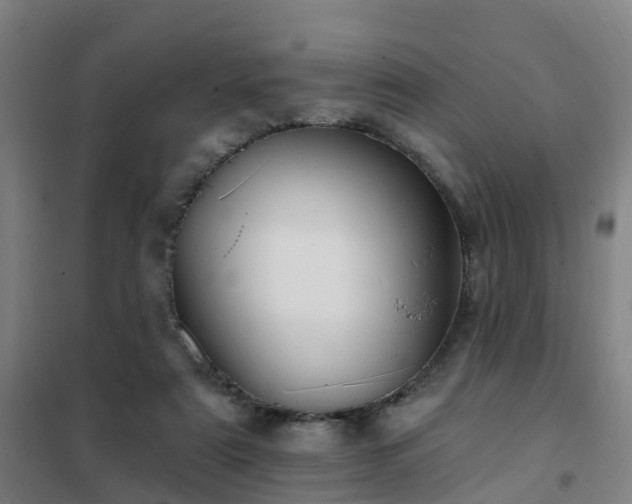 X0000102020307200807251338