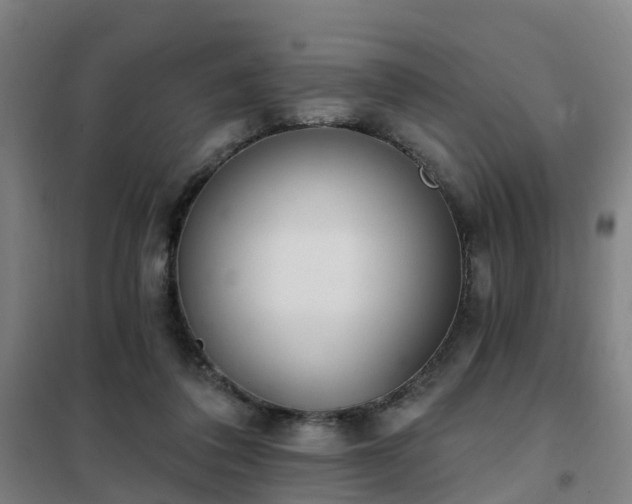 X0000102020308200807251338