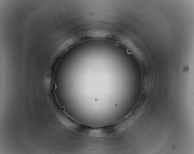 X0000102020309200807251338