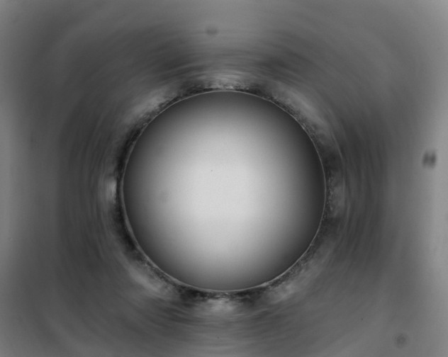 X0000102020310200807251338