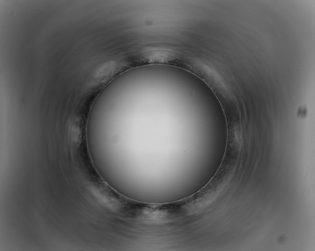 X0000102020311200807251338