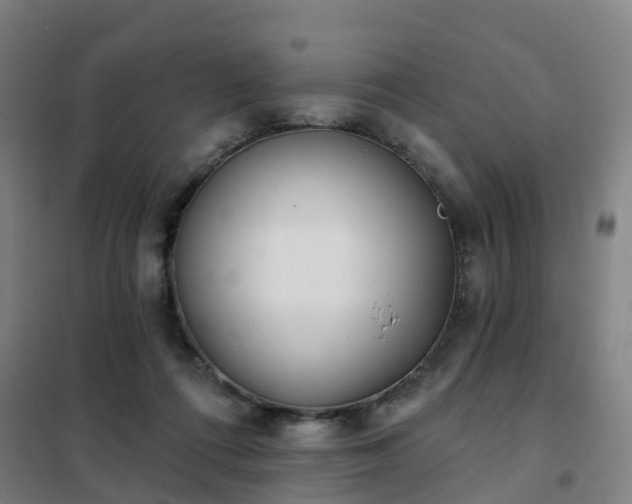 X0000102020312200807251338
