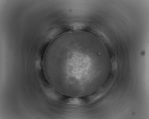 X0000102020316200807251338