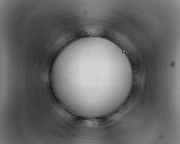 X0000102020317200807251338