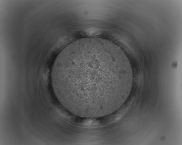X0000102020319200807251338