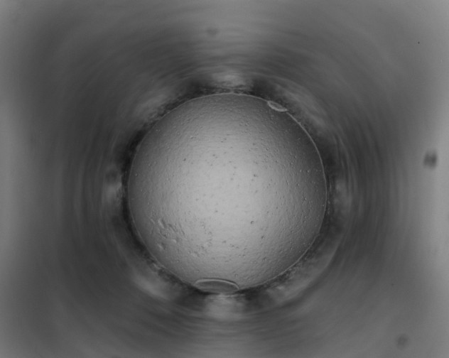 X0000102020320200807251338