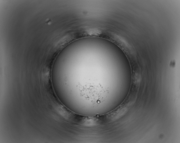 X0000102020321200807251338