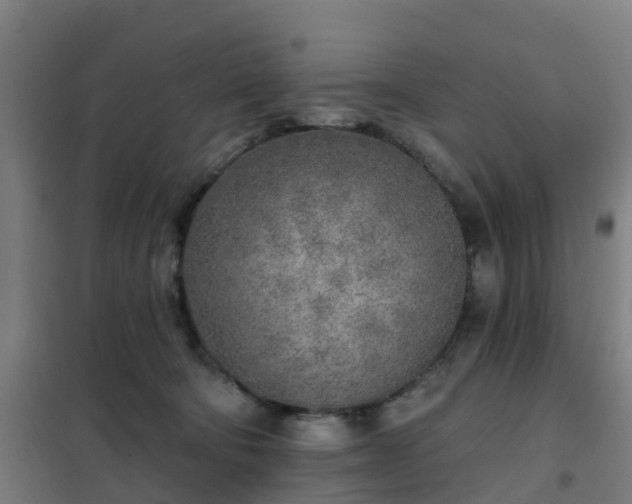 X0000102020322200807251338