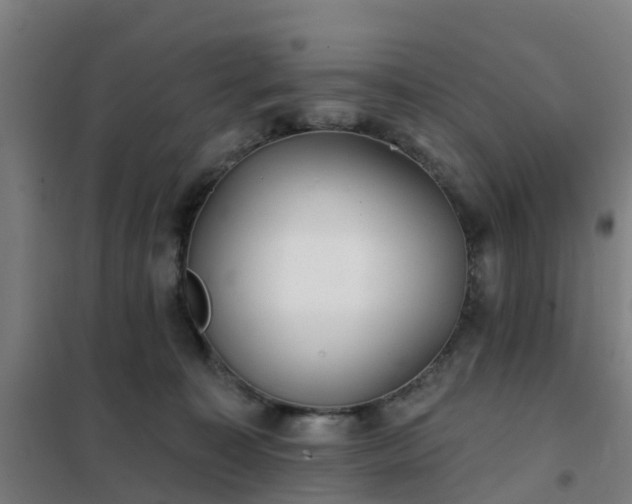 X0000102020323200807251338