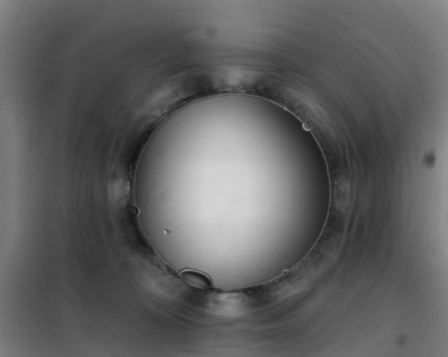 X0000102020324200807251338